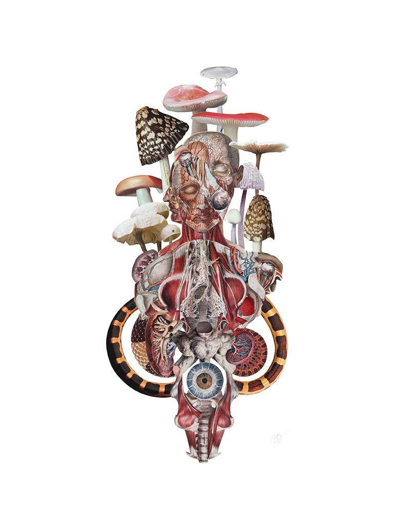 The Eye Can Not See What The Mind Does Not Know