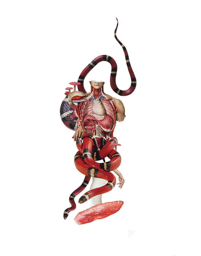 In Search Of A Higher Self