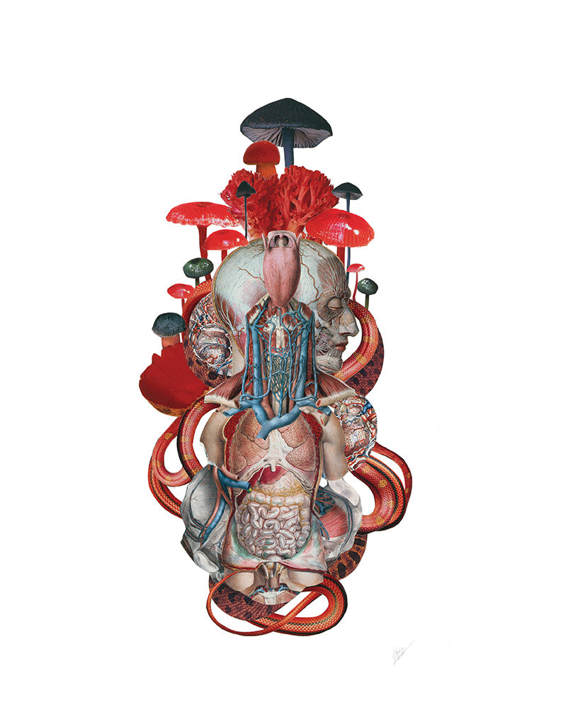 All Of Me, Intertwined