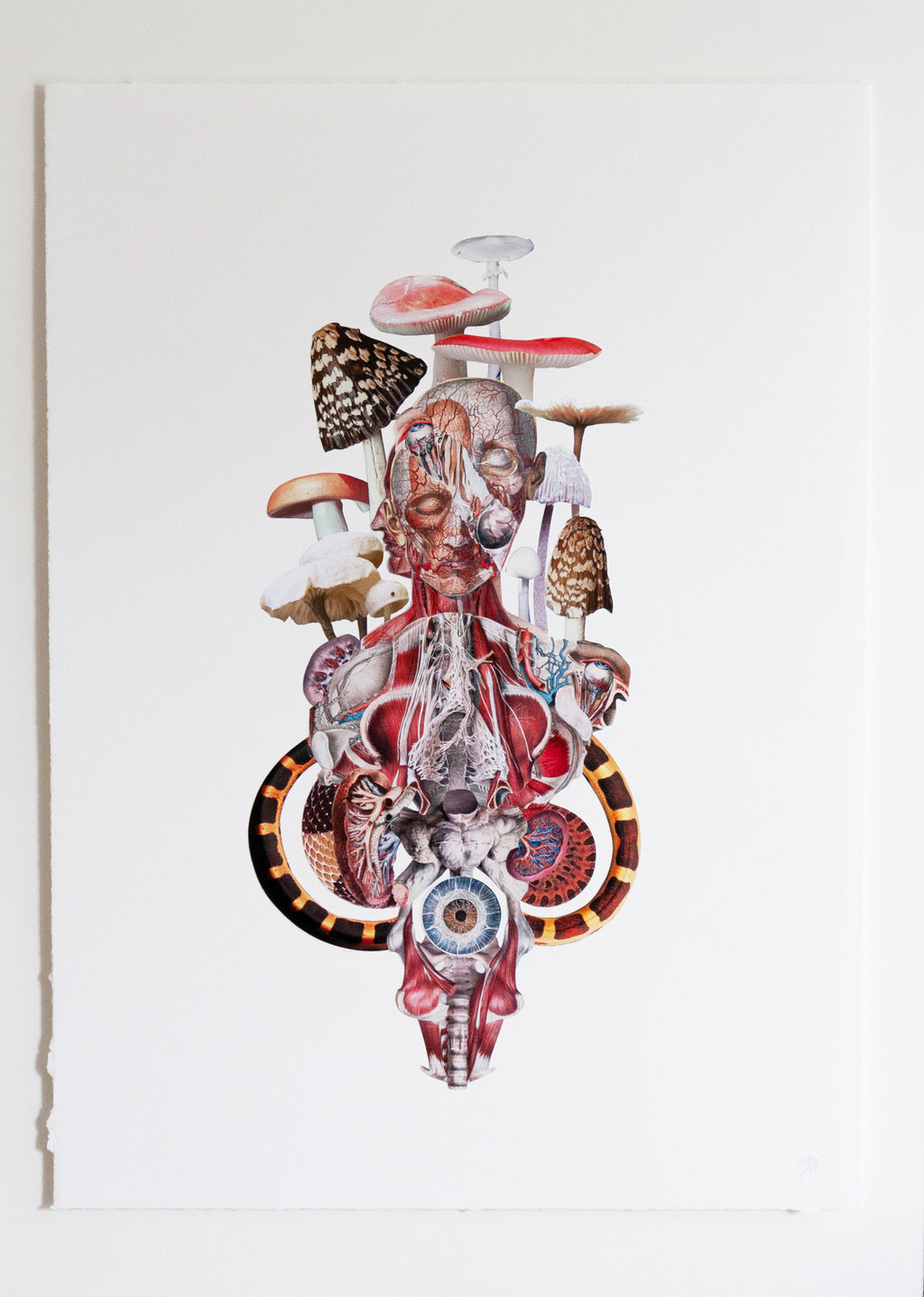 The Eye Can Not See What The Mind Does Not Know