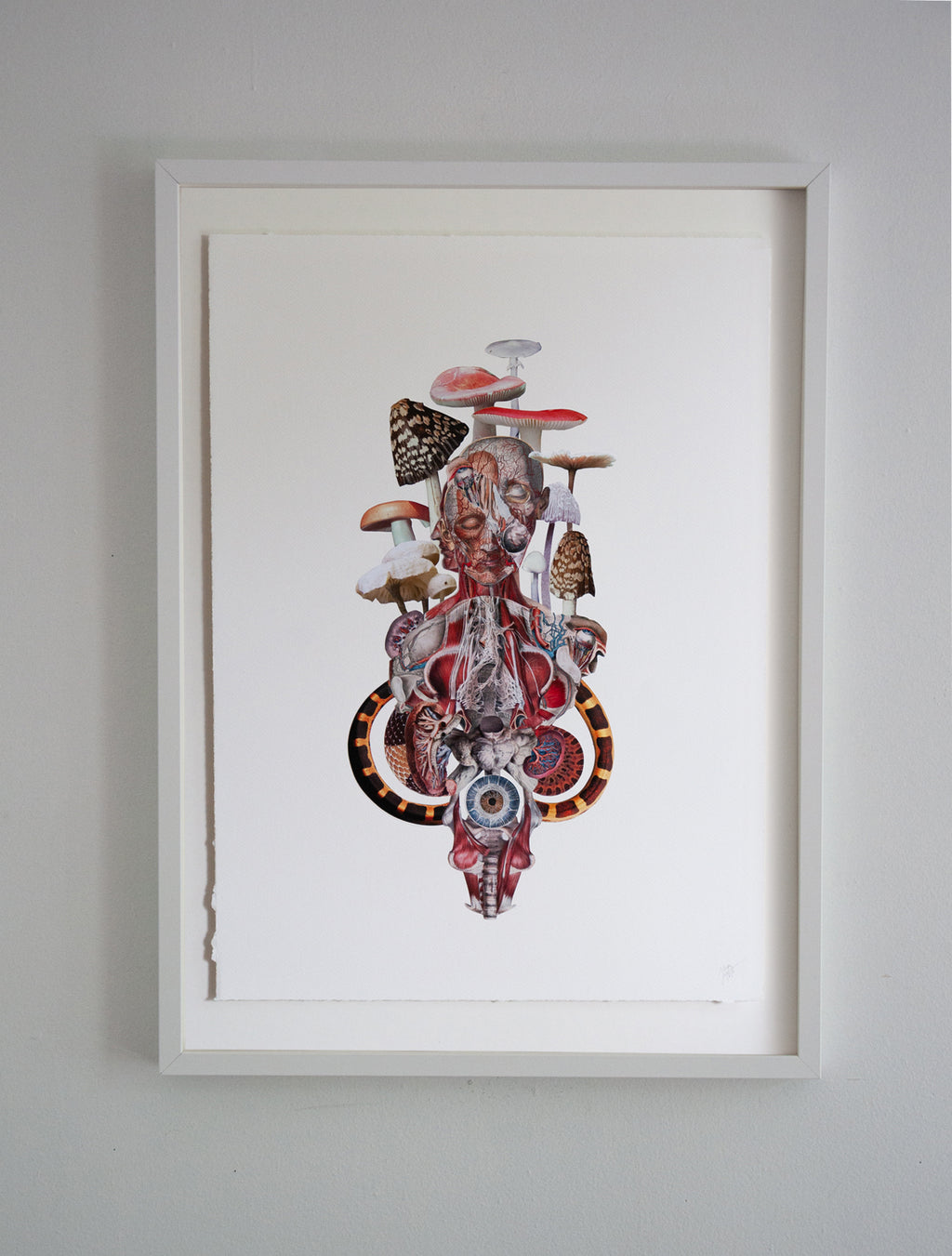 The Eye Can Not See What The Mind Does Not Know