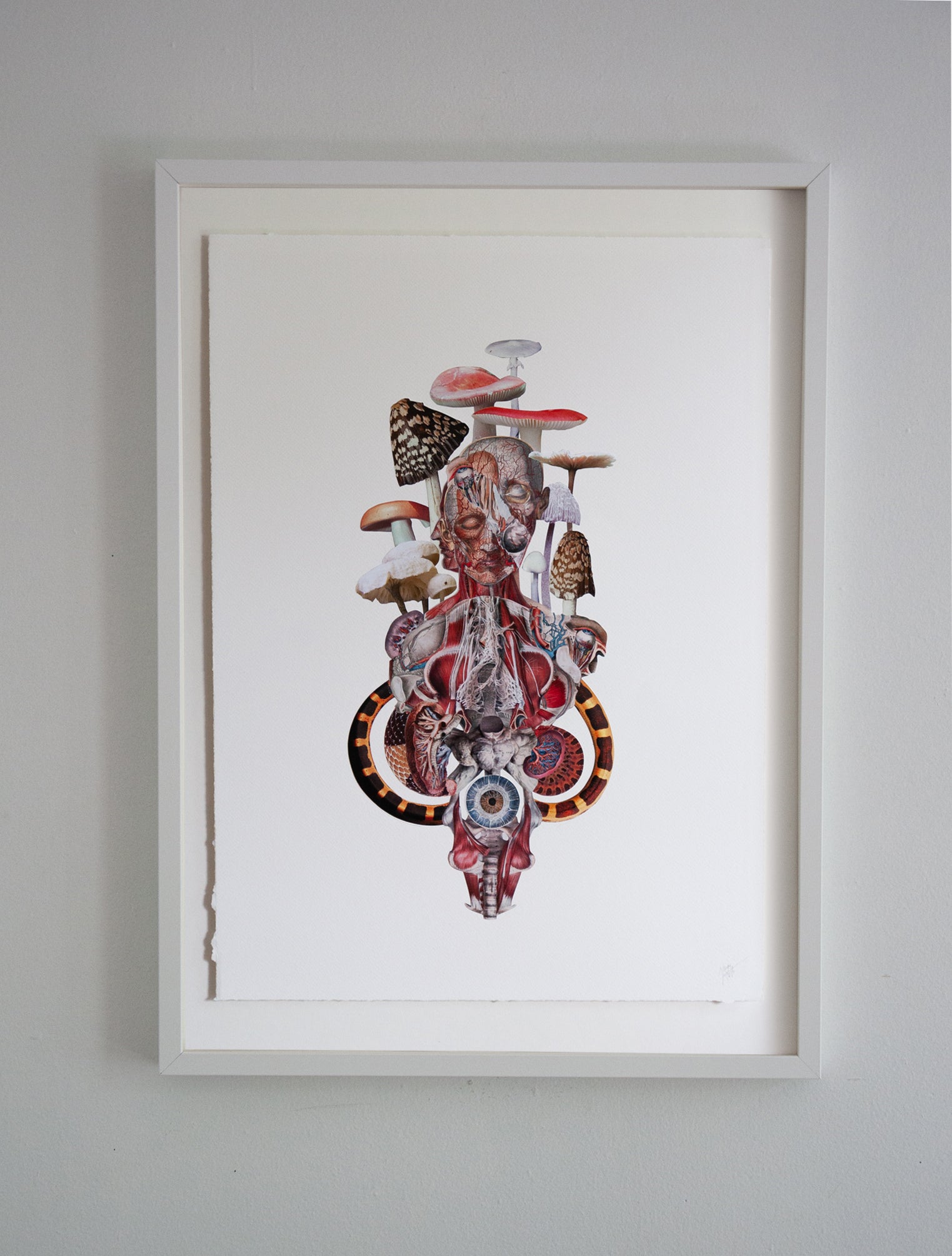 The Eye Can Not See What The Mind Does Not Know