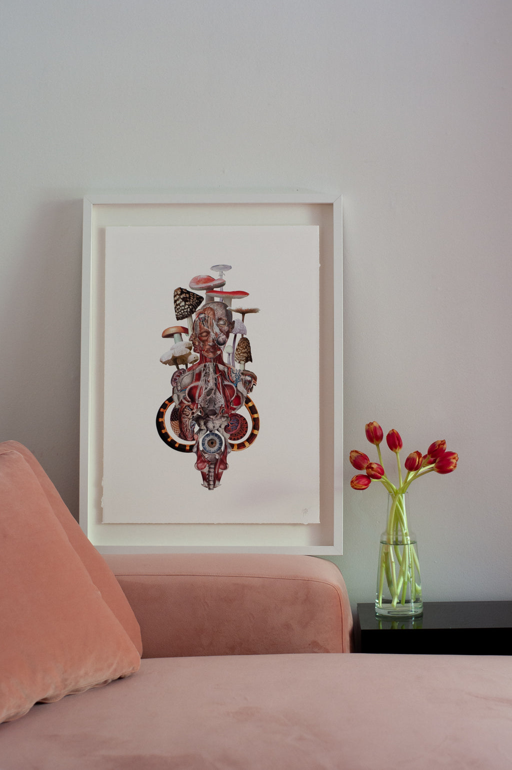 The Eye Can Not See What The Mind Does Not Know