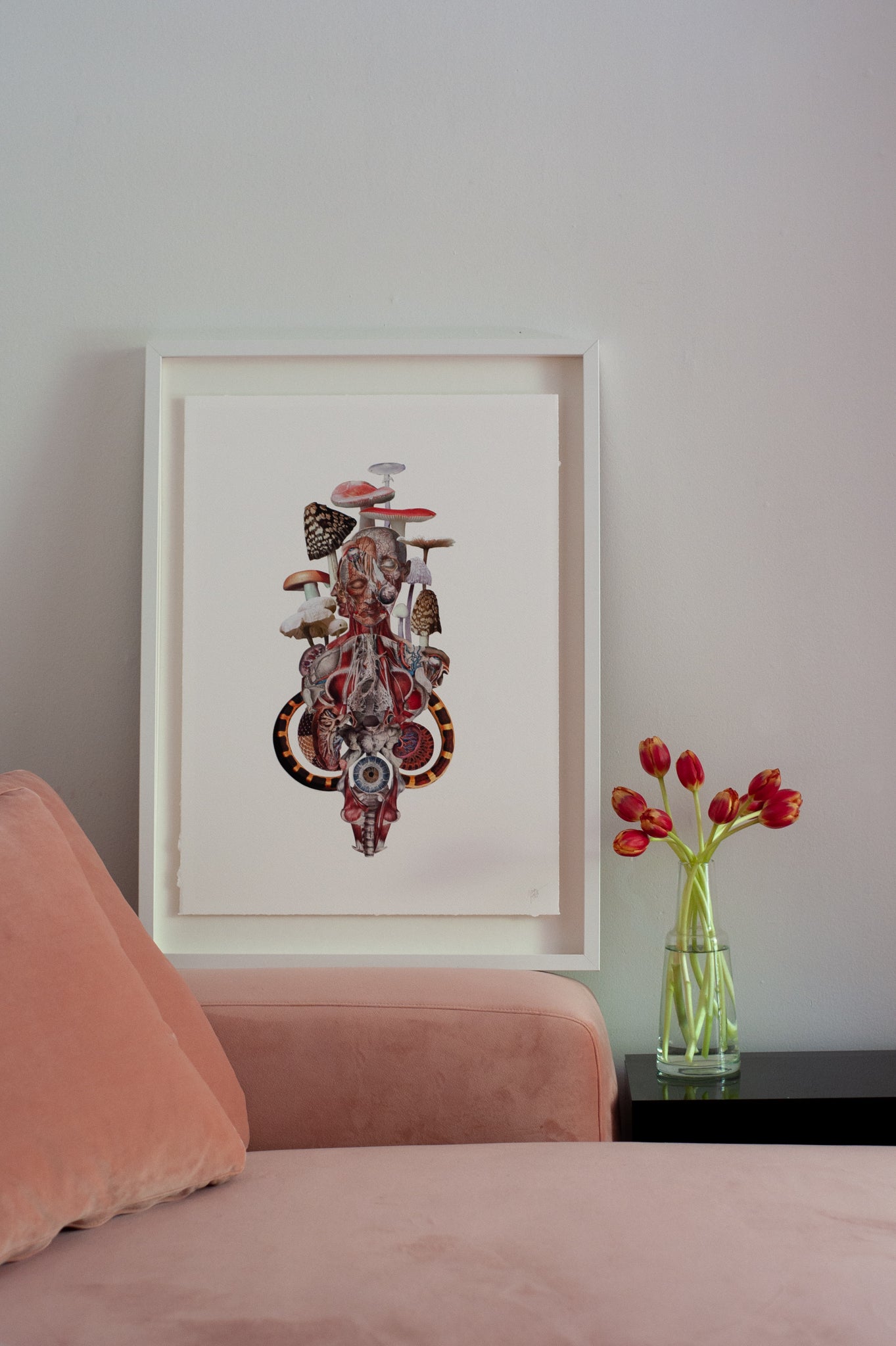 The Eye Can Not See What The Mind Does Not Know