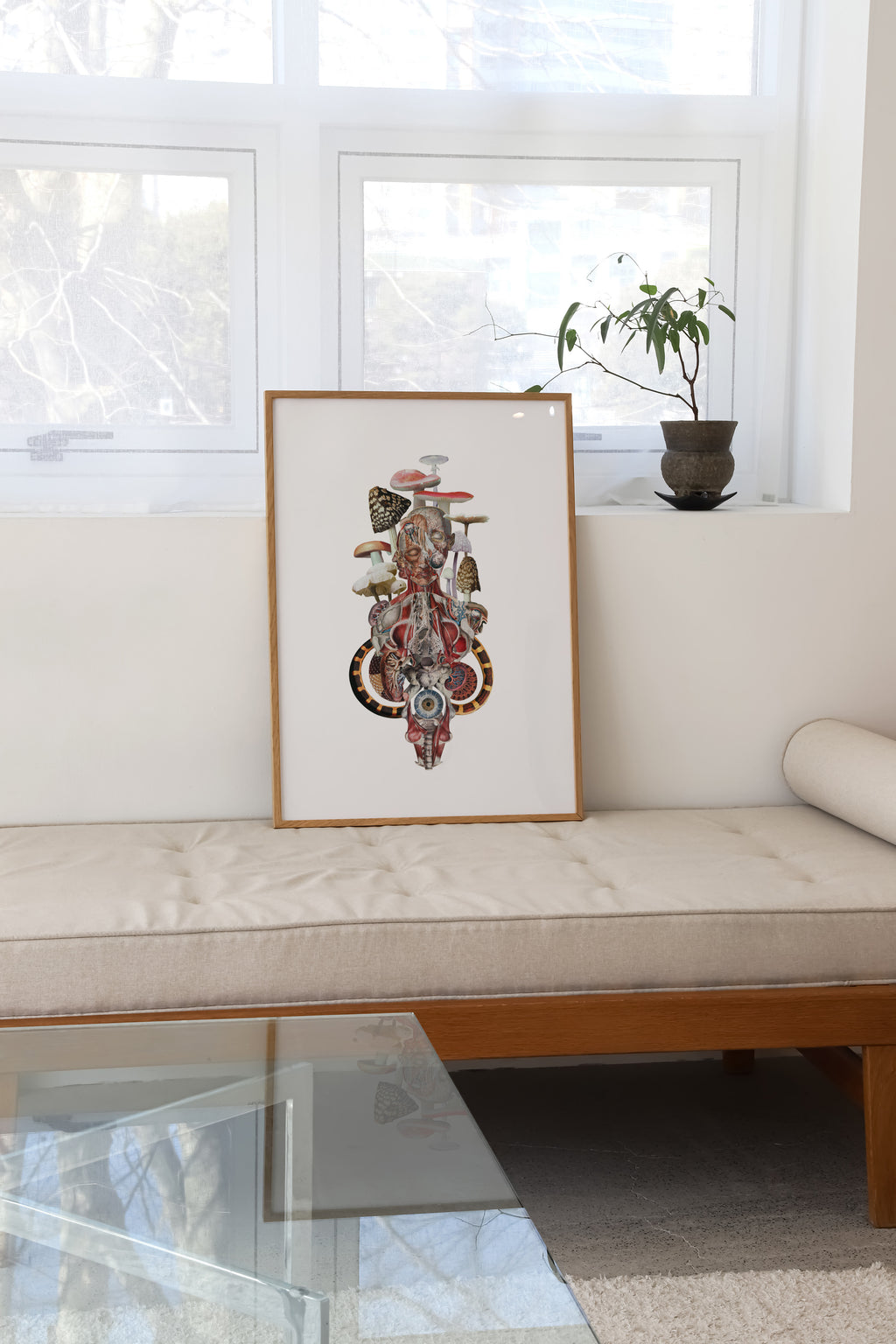 The Eye Can Not See What The Mind Does Not Know